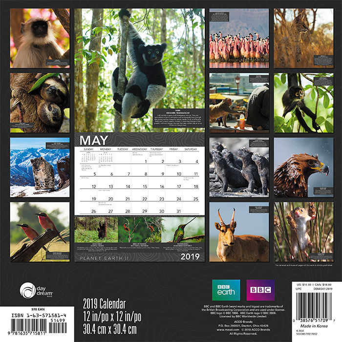 Help your boss keep track of deadlines while enjoying the best animal photos
